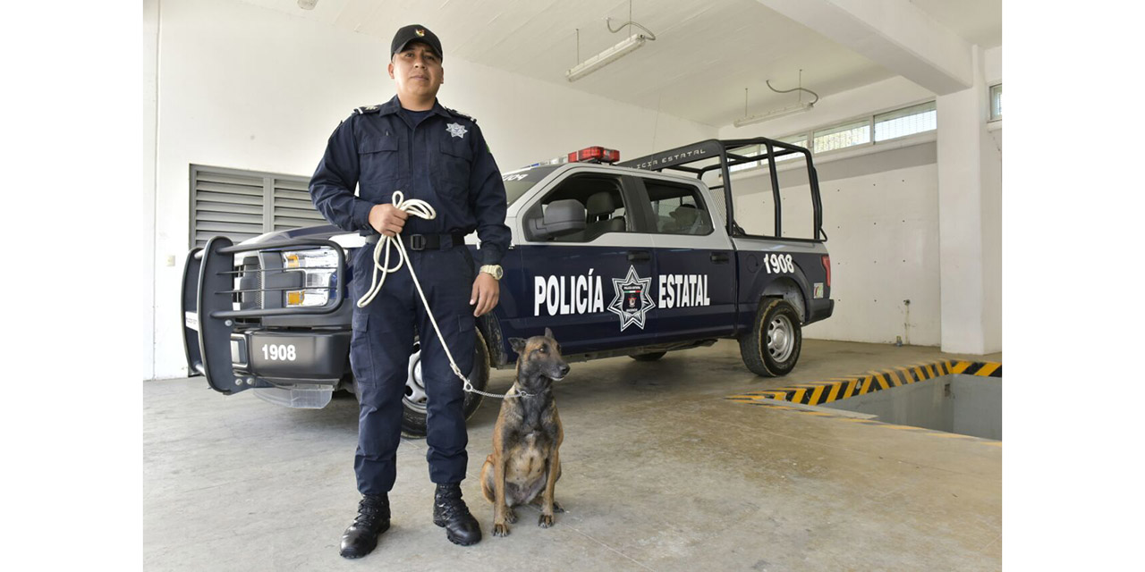 K9, lealtad, destreza y fuerza del mejor amigo