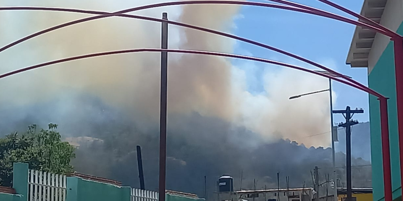 VIDEO | Incendio en Calpulálpam desata alerta en Sierra Juárez