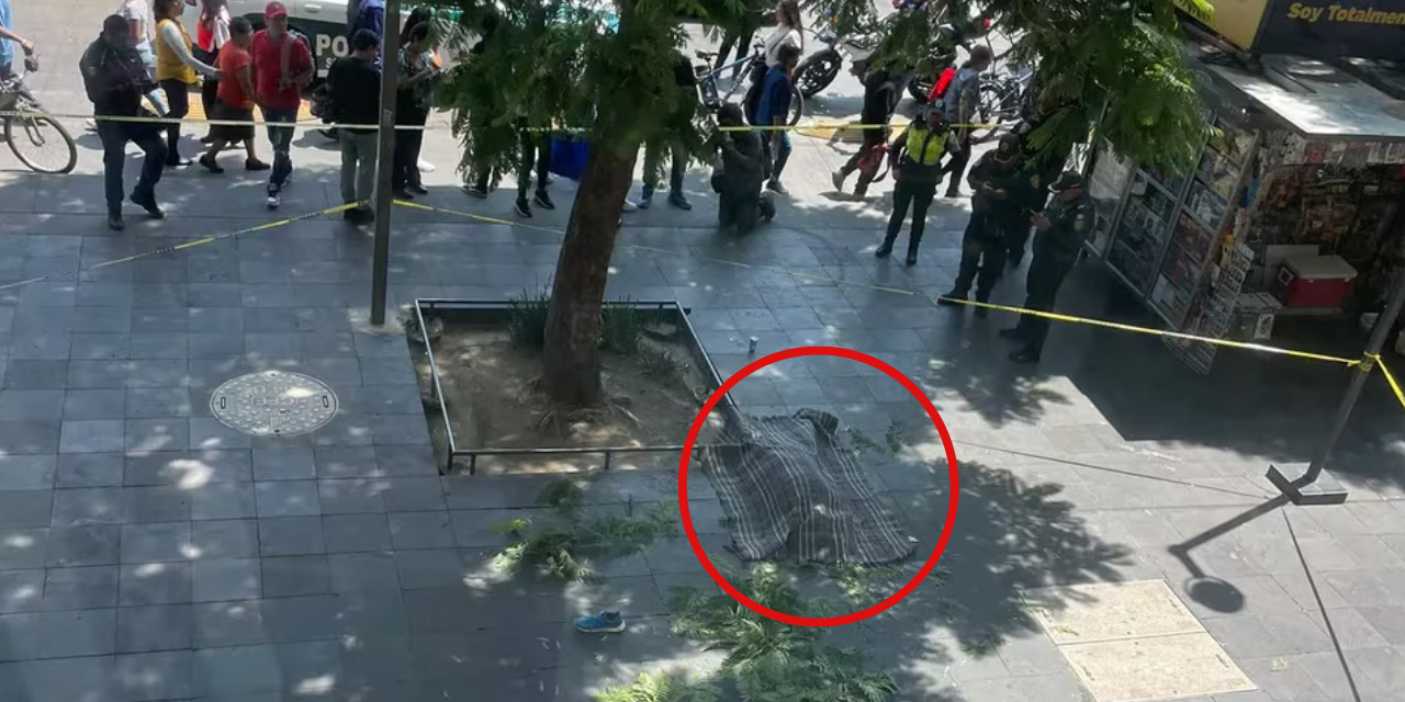 Se lanza del sexto piso y muere frente a Bellas Artes en la CDMX | El Imparcial de Oaxaca