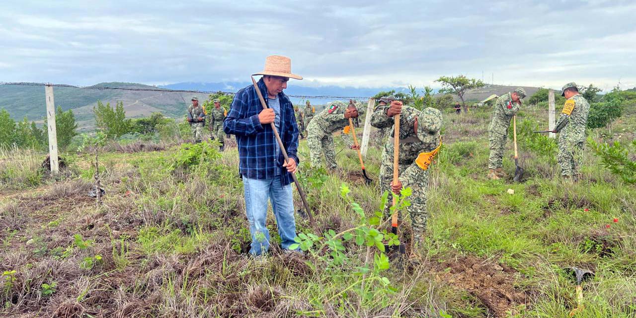 Fotos: cortesía // Buscan conservar y preservar la naturaleza en la zona.