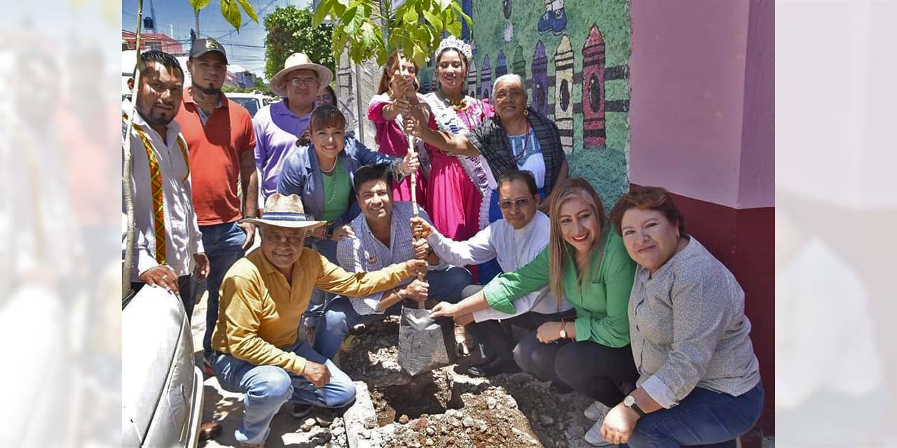 Conjuntamente comenzaron la arborización urbana en Huajuapan.
