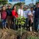 Jornada municipal; reforestan de Viguera a Santa Rosa