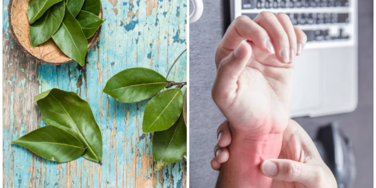 ¿No sabes cuáles son las 5 hierbas medicinales que previenen la artritis? Aquí te decimos