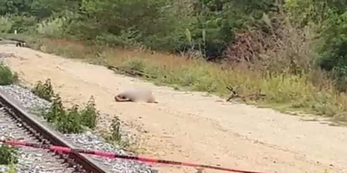 Horrendo descubrimiento en Tehuantepec: Hallan cadáver decapitado