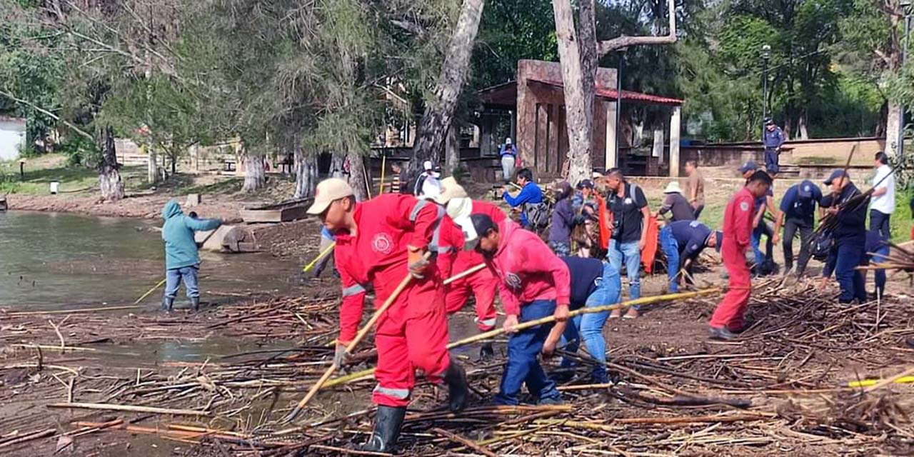 El objeto es retirar la mayor cantidad de desechos, implementándose la separación en orgánica e inorgánica.