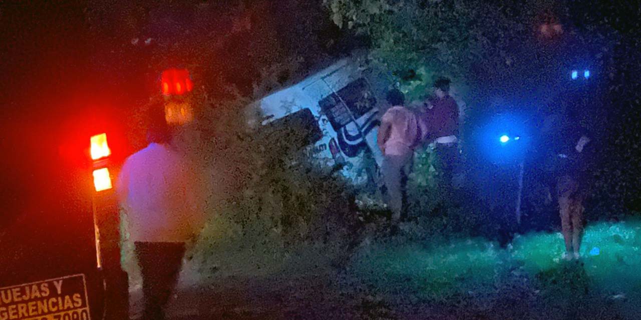 La Urvan terminó volcada entre un arbusto y la vegetación de la zona.