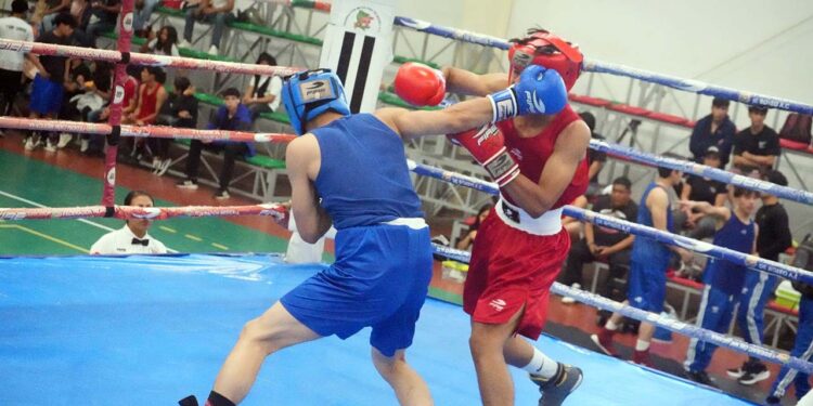 Este fin de semana se desarrolla en Torneo de Box.