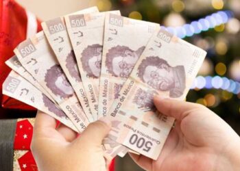 Aguinaldo 2024, a más tardar el 20 de diciembre