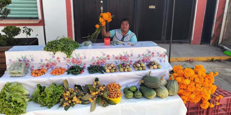Algunas cosas escasearon y otras más subieron su valor debido a la falta de agua, las lluvias y ahora las heladas.