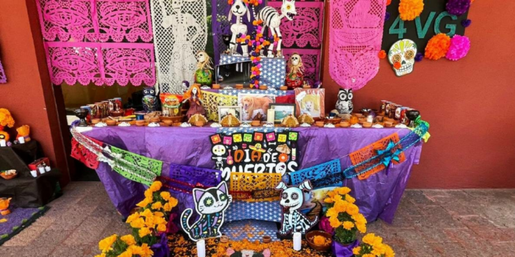 ¿Listo para el Día de Muertos? Cuándo y cómo colocar la ofrenda para tu mascota
