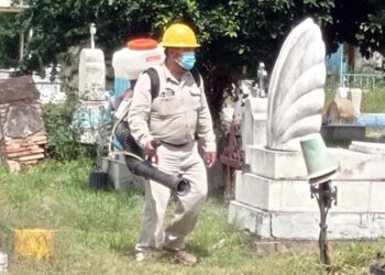 Foto: Gobierno de Oaxaca // Brigadas del personal de vectores nebulizaron panteones en diferentes puntos del estado.