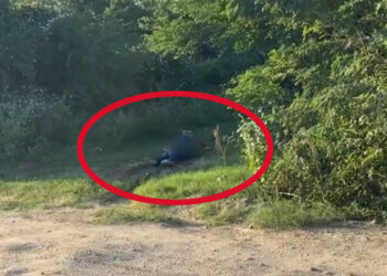 ¡Juchitán en shock! Encuentran cadáver de joven asesinado a balazos