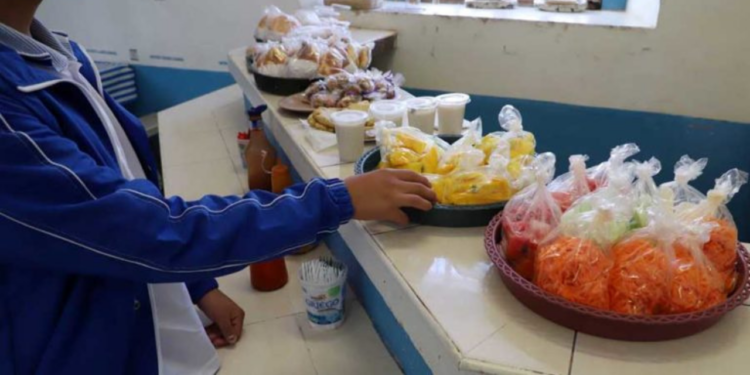 ¿Cuáles serán los alimentos que sí estarán permitidos vender en las escuelas?