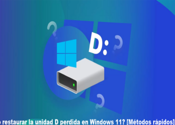 ¿Cómo restaurar la unidad D perdida en Windows 11? [Métodos rápidos]