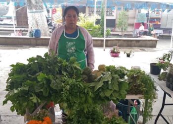 Con este encuentro se busca fortalecer las estrategias y experiencias del trabajo en el campo.