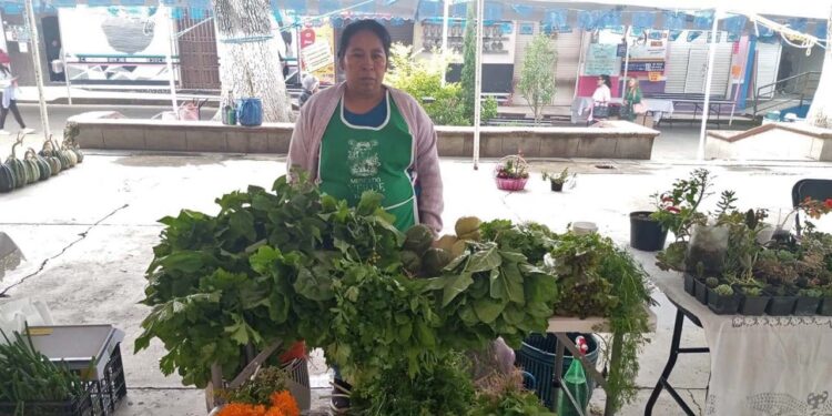 Con este encuentro se busca fortalecer las estrategias y experiencias del trabajo en el campo.
