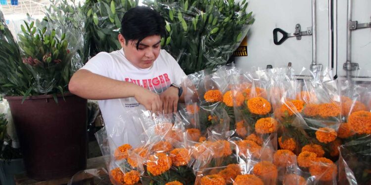Foto: Adrián Gaytán // Cristopher Flores Jiménez.