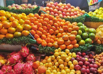 Foto: Adrián Gaytán // El costo del kilogramo de la mandarina importada rebasa los 100 pesos en el Mercado de Abasto.