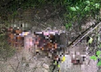 Asesinato en Juchitán