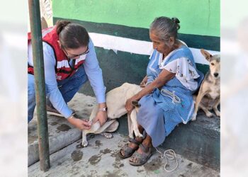 Explicaron que la rabia es una enfermedad viral que se trasmite principalmente a través de la mordedura de animales infectados.
