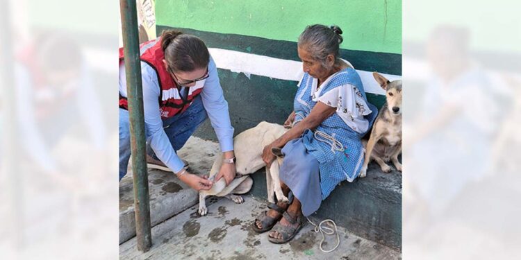 Explicaron que la rabia es una enfermedad viral que se trasmite principalmente a través de la mordedura de animales infectados.