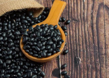 ¿Cuáles son las marcas de frijoles con mayor proteína en el mercado?