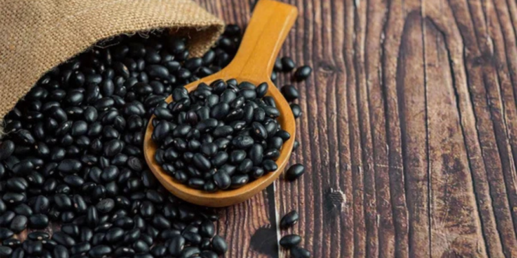 ¿Cuáles son las marcas de frijoles con mayor proteína en el mercado?