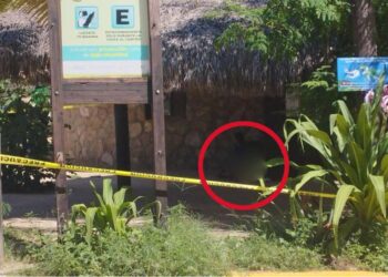 Ultiman a balazos a El Alacrán en El Mazunte, Pochutla