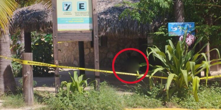 Ultiman a balazos a El Alacrán en El Mazunte, Pochutla