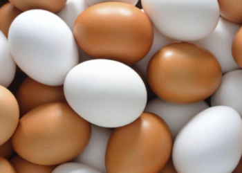 ¿Huevos blancos o marrones? ¿Cuál es la diferencia?