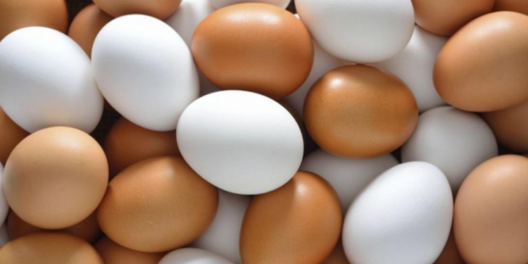 ¿Huevos blancos o marrones? ¿Cuál es la diferencia?