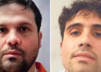 Joaquín Guzmán sale de prisión y Ovidio vuelve a Chicago