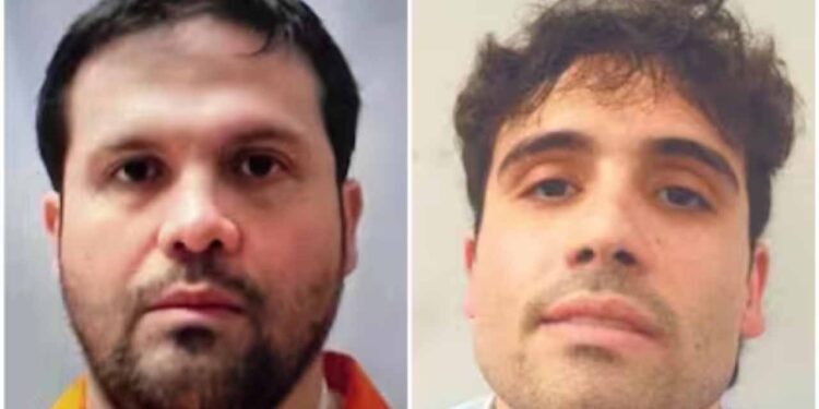 Joaquín Guzmán sale de prisión y Ovidio vuelve a Chicago