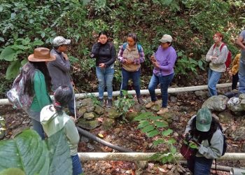 La ciencia comunitaria viene a romper un paradigma