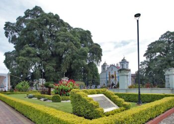 Foto: Adrián Gaytán // La plaza central de la población que le debe su prosperidad al árbol de más de 2 mil años.