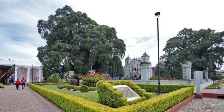Foto: Adrián Gaytán // La plaza central de la población que le debe su prosperidad al árbol de más de 2 mil años.