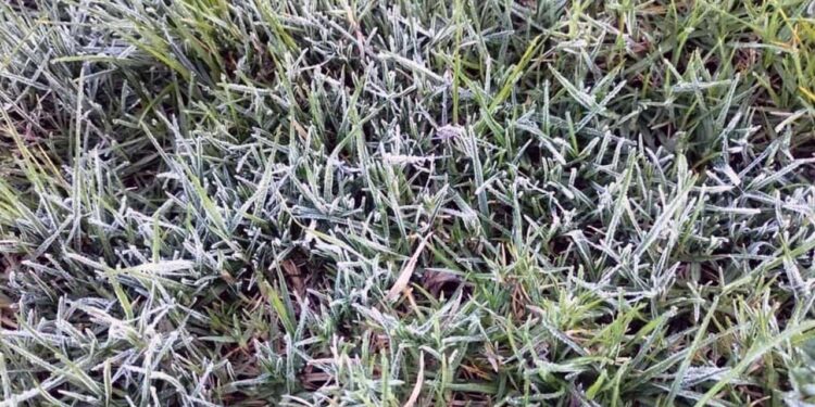 La región Mixteca es la que concentra el mayor número de poblaciones con alto riesgo por bajas temperaturas y heladas.