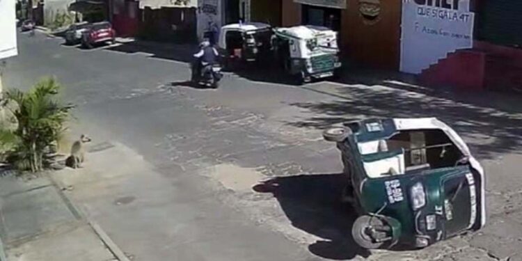 La unidad de motor volcó aparatosamente y quedando recostada a mitad de la calle.