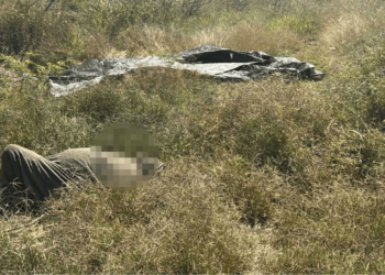 Asesinato en San Pablo Etla