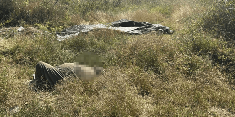 Asesinato en San Pablo Etla