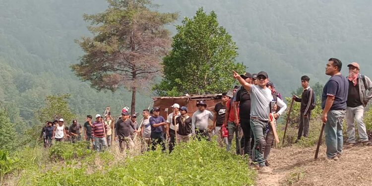 Los faeneros deberán llevar palas, azadones, machetes, costales y bolsas.