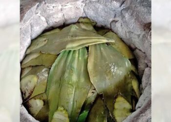Los visitantes podrán disfrutar los distintos estilos con los que se elabora la barbacoa en cada uno de los municipios invitados.
