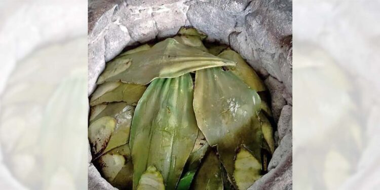 Los visitantes podrán disfrutar los distintos estilos con los que se elabora la barbacoa en cada uno de los municipios invitados.