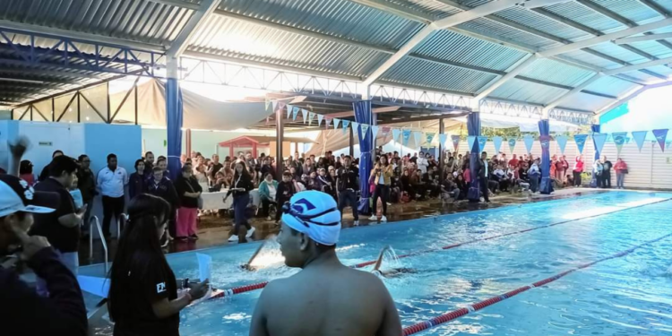 ¡Se lanzaron al agua! Comenzó la Liga de Novatos ANEO
