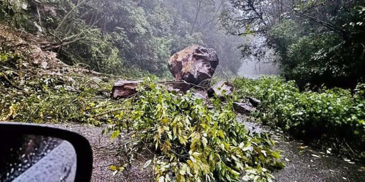 Foto: cortesía // Debido a derrumbes y deslaves, la Policía Vial Estatal informó este domingo que la Carretera Federal 175 fue cerrada totalmente en el tramo Valle Nacional a la localidad La Esperanza.
