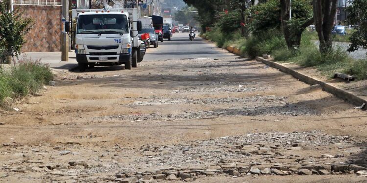 Foto: Adrián Gaytán // Símbolos Patrios, un camino “cosechero” en plena capital.