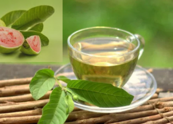 ¡Descubre los beneficios del té de hojas de guayaba para tu salud!