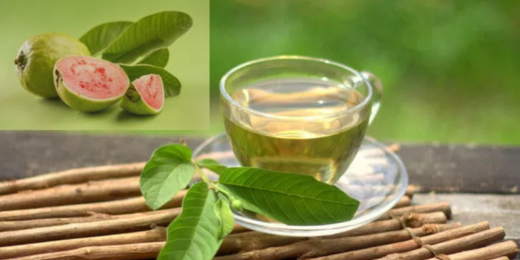 ¡Descubre los beneficios del té de hojas de guayaba para tu salud!