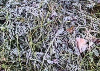 Varios pueblos registraron temperaturas bajo cero la madrugada y mañana de este viernes.