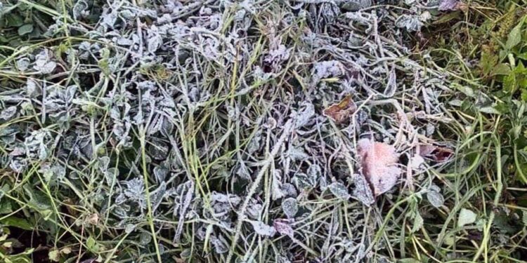 Varios pueblos registraron temperaturas bajo cero la madrugada y mañana de este viernes.
